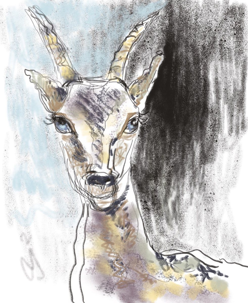 Gazelle — left-hand drawing